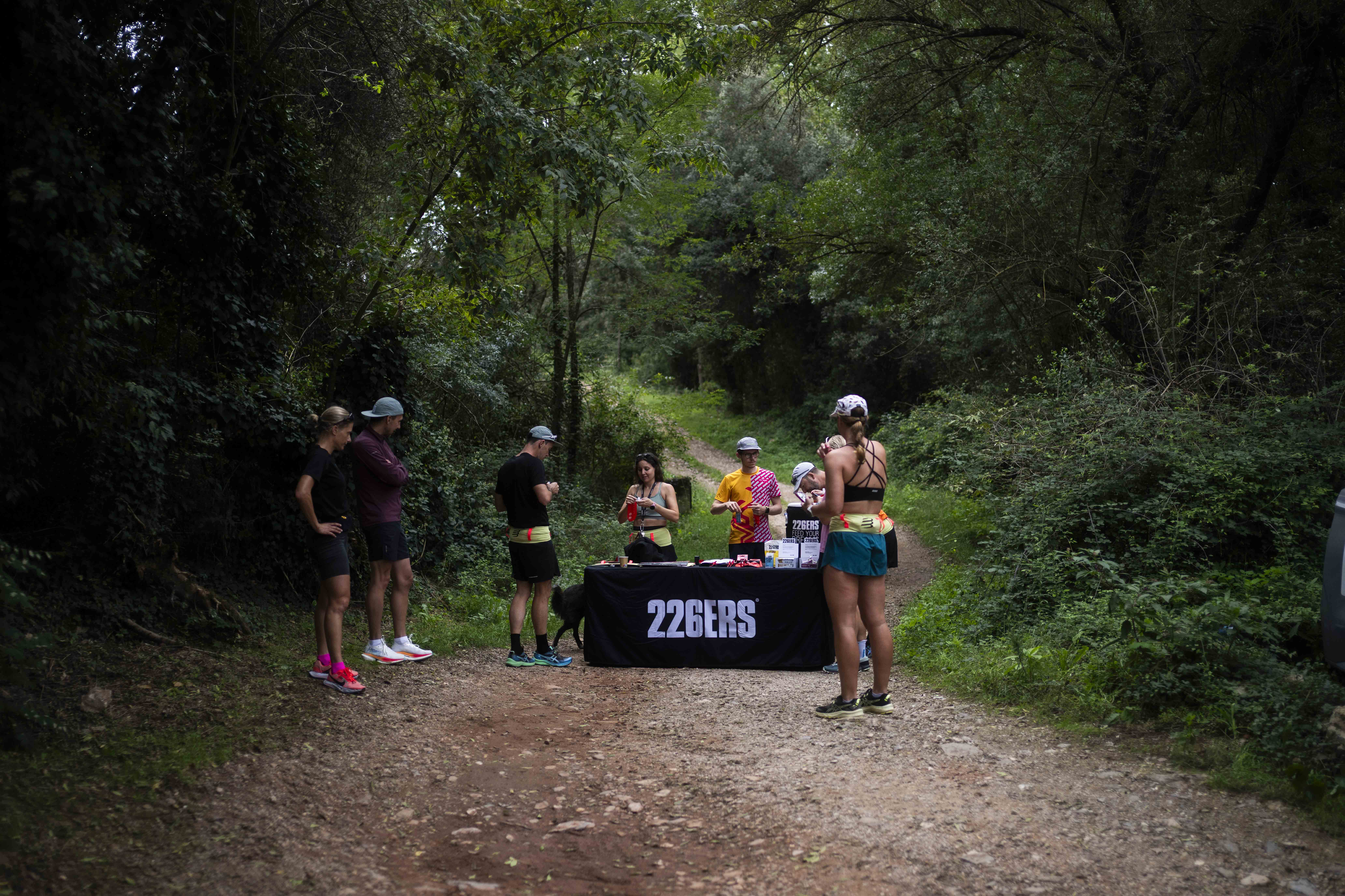 Our team helps professional athletes through the Bewolfish method